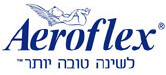  קידום אתרים בגוגל לקוח אירופלקס